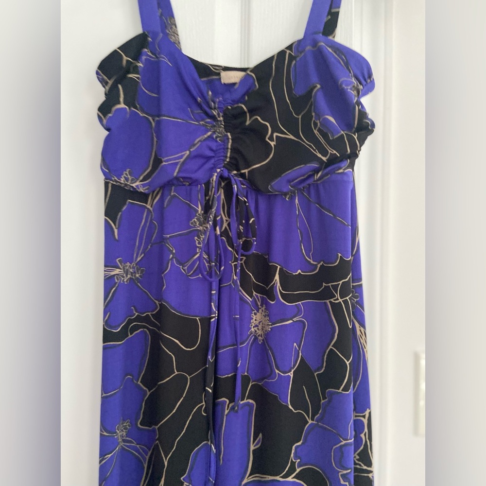 Jonathan Martin Purple and Black Maxi Dress